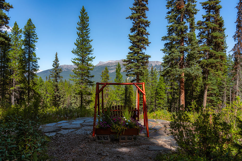 Bench swing with mountain views