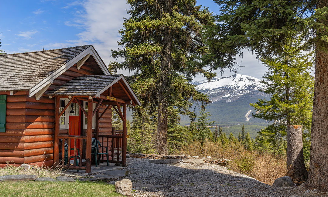 Peyto Cabin